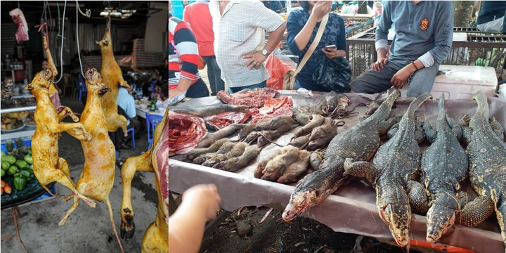 The Chinese eat everything with four legs, except tables and chairs: Five Weird foods they eat_ Thanks God I have two legs