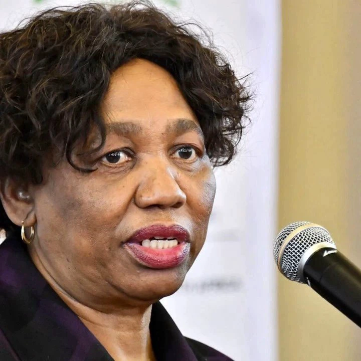 Bad news for Angie Motshekga & South African schools