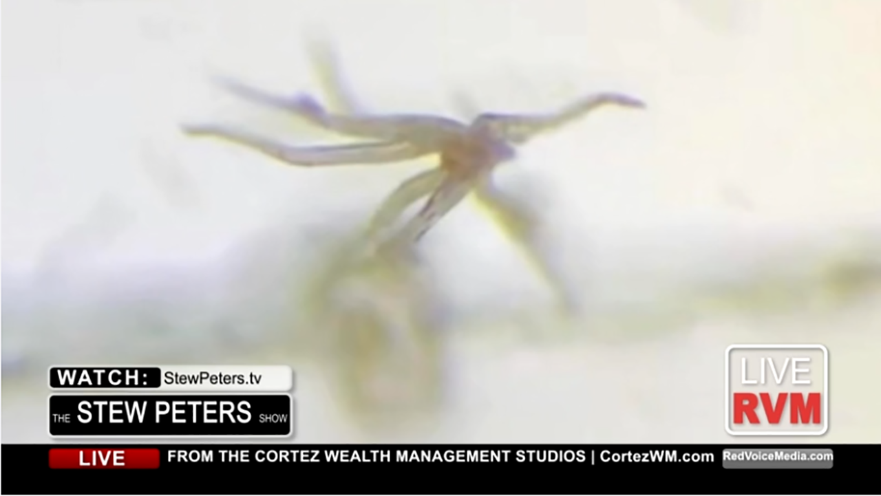 Highly lethal and contagious parasite found in Pfizer vaccine