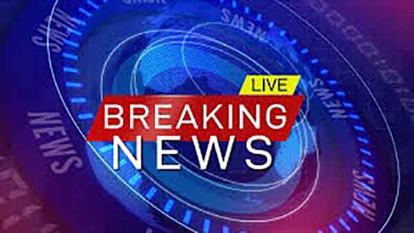 BREAKING NEWS The winning party has finally been revealed this left Mzansi confused