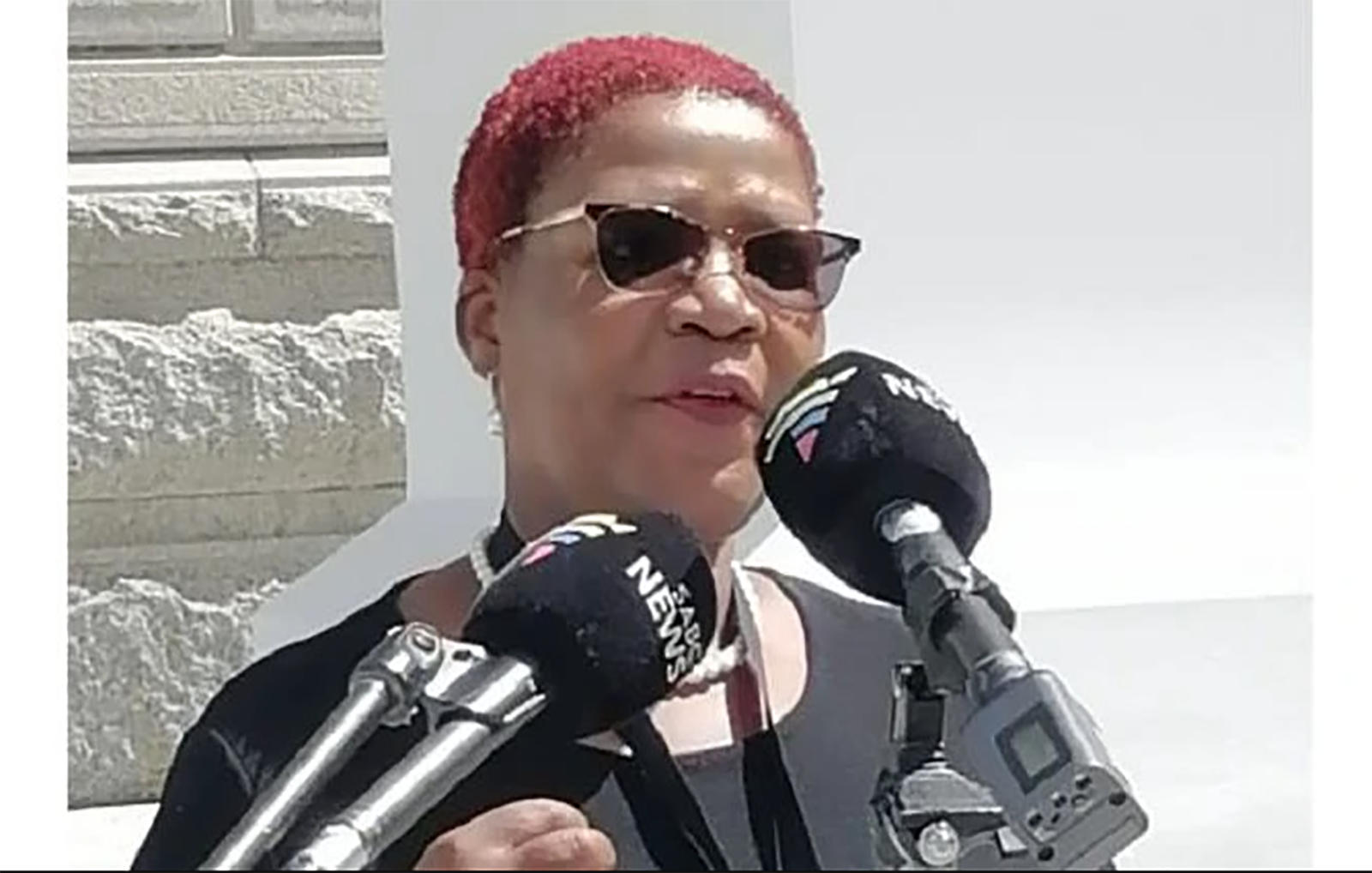 Herman Mashaba loses Vytjie Mentor