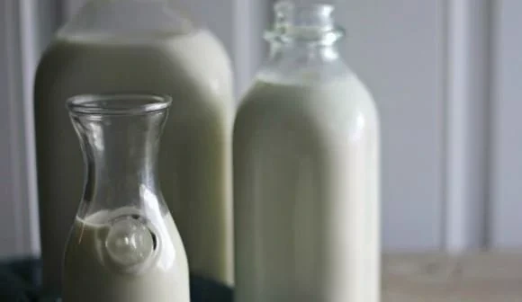 Studies say these FOUR foods can help you conceive twins