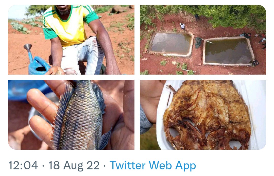 A Young Man From Limpopo Left Mzansi Speechless After Building His Own Fish Ponds