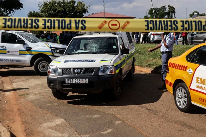 RIP | It’s A Dog-Eat-Dog World KZN Residents Didn’t Believe What They Saw When They Woke Up
