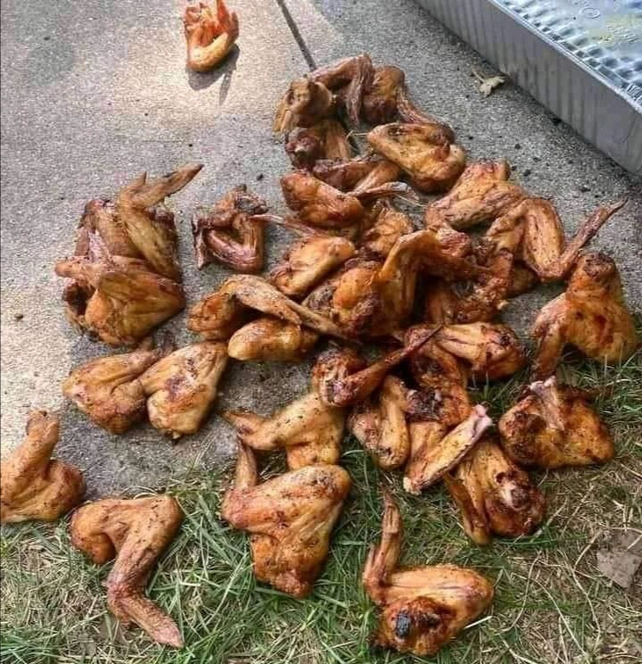 King asked Would you pick the chicken wings up or are you scared of germs