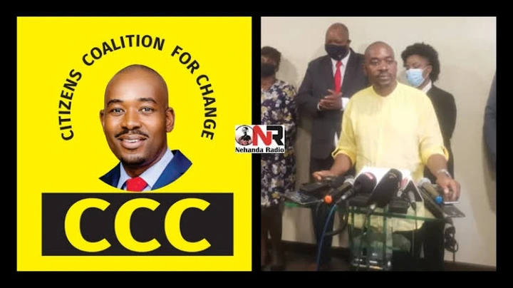 Sad News: Top Zimbabwean Politician Dies In Car Accident Details