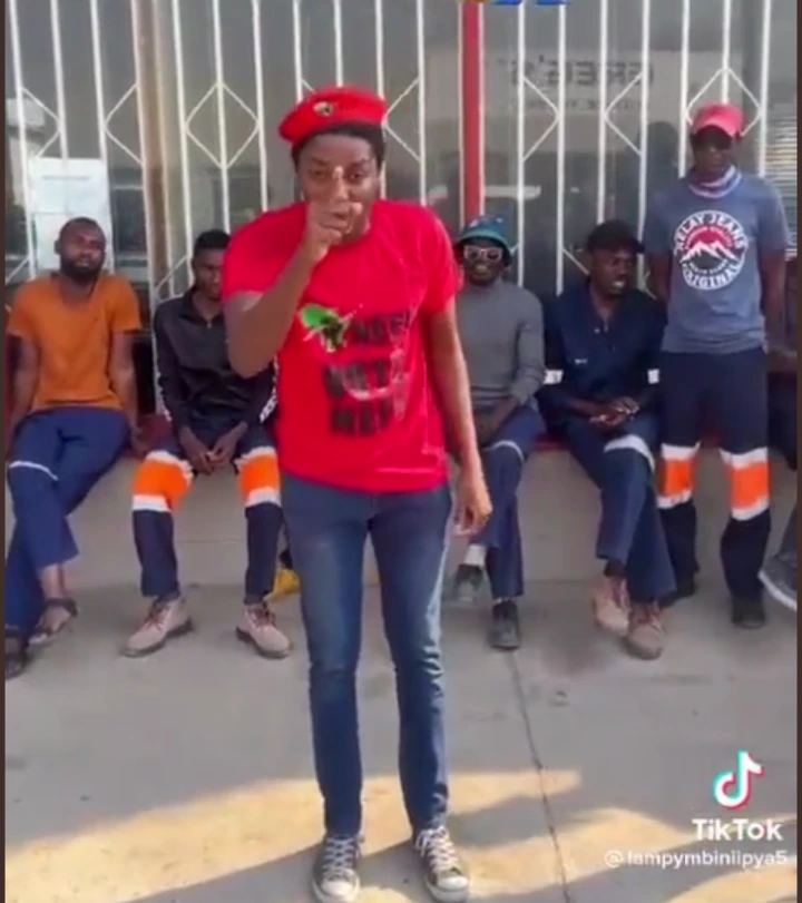 Foreign thugs in the EFF: This post has caused a stir on social media