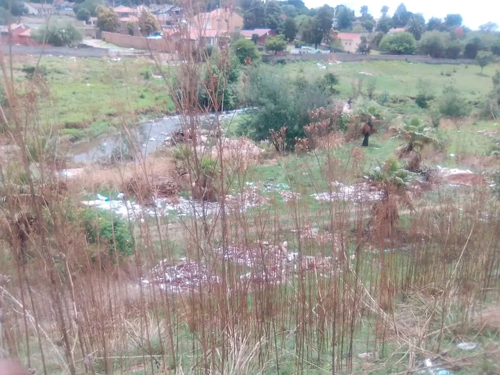 47-Year-Old Woman Raped In Front Of Her Husband In Riverpark