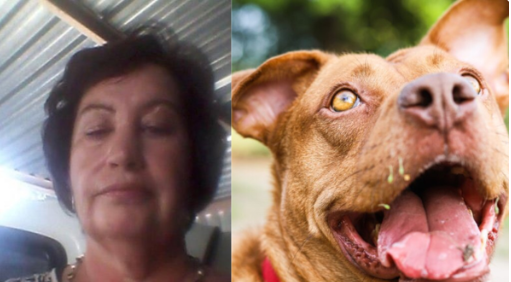 Kill Blacks & Leave Pitbulls Belinda’s Utterance Gets Her Kicked Out Of Her Renting Place