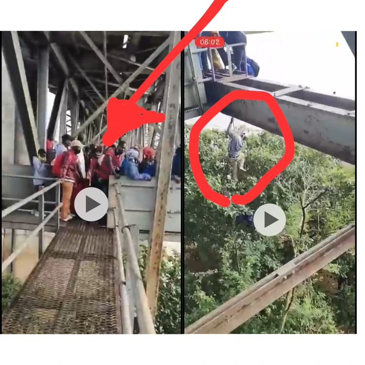 See: Thousands Of Foreigners Were Spotted Crossing The Border Illegally, See How They Do It